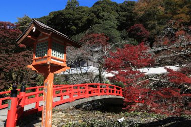  Sonbahar Minoo Takianji Osaka, Japonya.