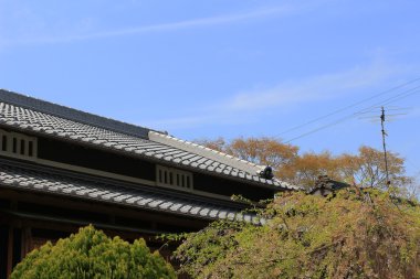 Japonya Tapınağı çatı