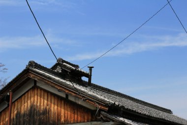 Japonya Tapınağı çatı