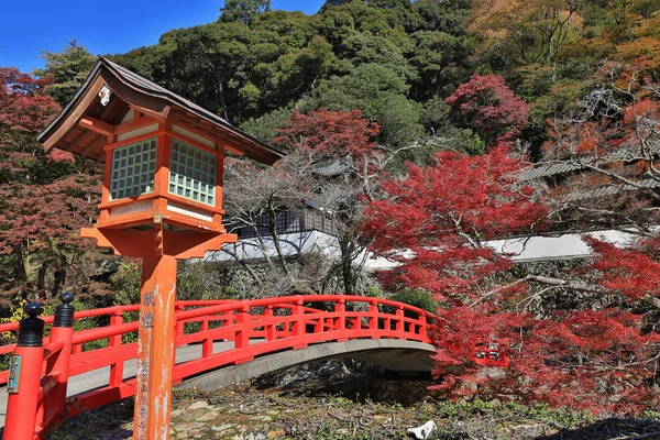 Autunno Minoo Takianji a Osaka, Giappone . — Foto Stock