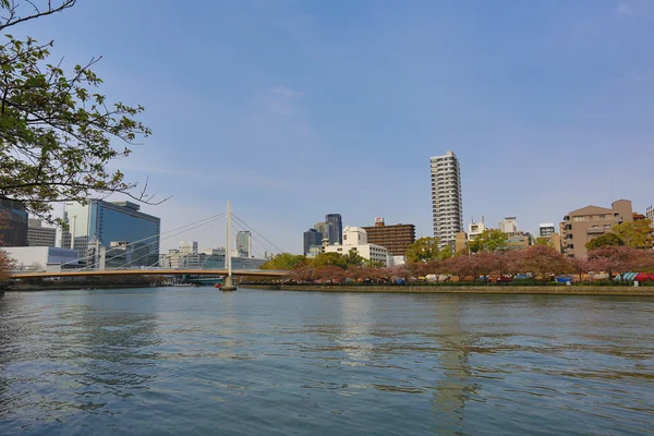 Río Osaka y Yoda — Foto de Stock