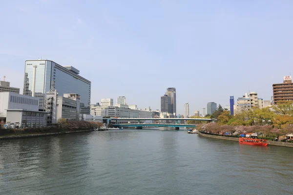 Río Osaka y Yoda — Foto de Stock