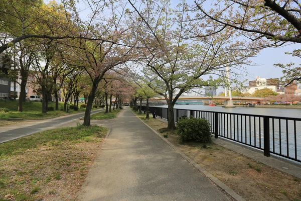 沿着河的大阪市的景色, 日本 — 图库照片