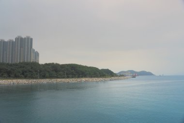 Önemsiz Bay, hong kong
