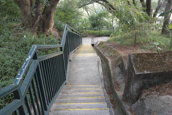 Mitten in irgendeinem Kotau-Park in Hongkong — Stockfoto