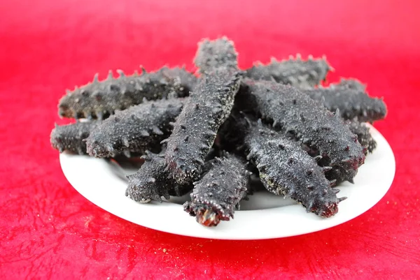 Sea cucumber is isolated on white background. — Stock Photo, Image