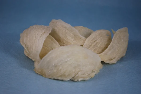 Edible bird's nest close up — Stock Photo, Image