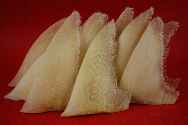 Dried shark fins in the traditional chinese shop