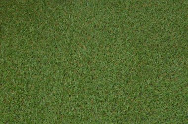 Üstten bakış açısı yeşil çim çayır