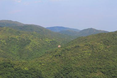 sai görünümünü doğa kung 