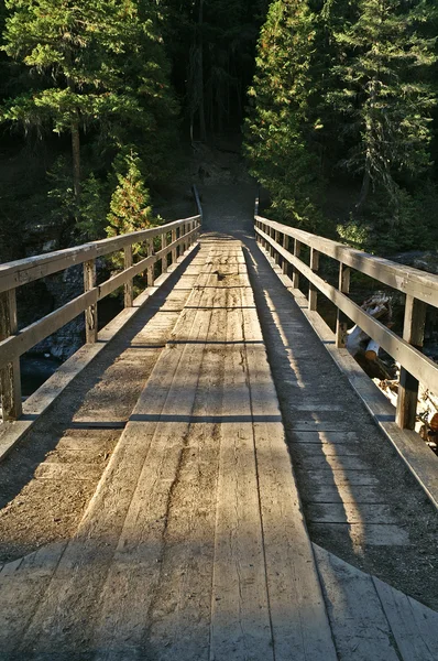 Pont à pied en bois — Photo