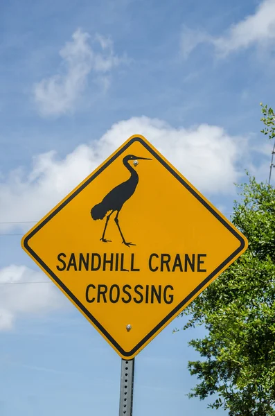 Sandhill Crane sinal de travessia — Fotografia de Stock