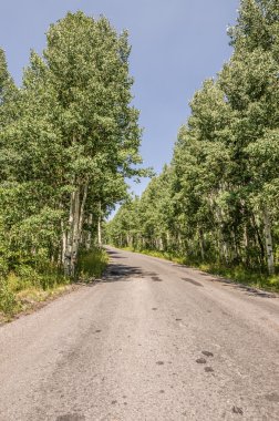 Dağıtılmış yolun dışında