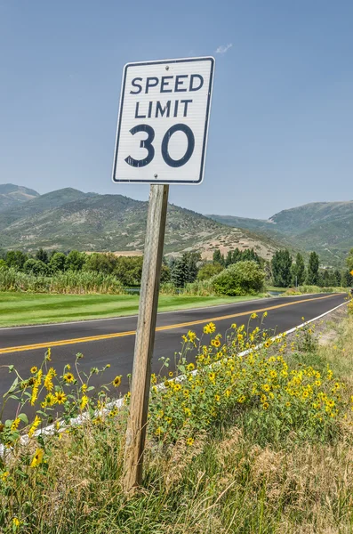 Limite de velocidade 30 sinal — Fotografia de Stock