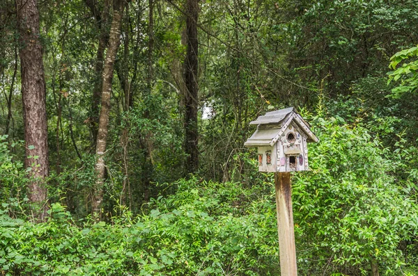 Einzigartiges Vogelhaus — Stockfoto