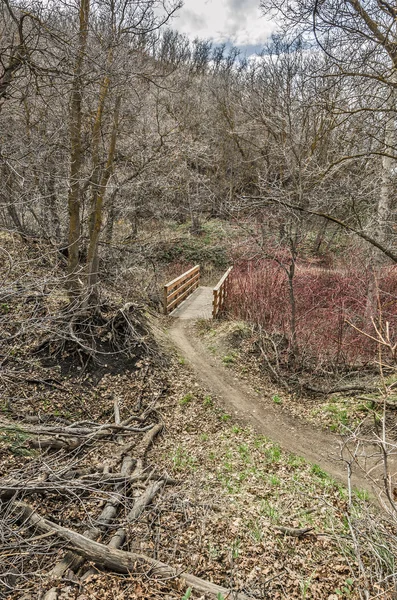 Ponte de madeira agradável em uma trilha de caminhada bem utilizada — Fotografia de Stock