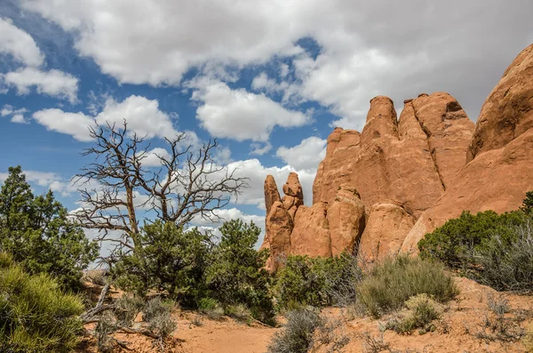 Vrede in het Arches National Park — Stockfoto