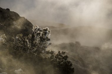 Yellowstone Ulusal par Ethereal Güzellik