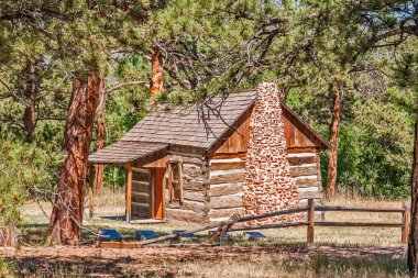 Ormanın kenarında kabin