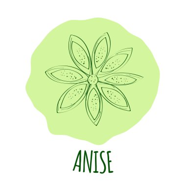 Anason şube vektör çizim