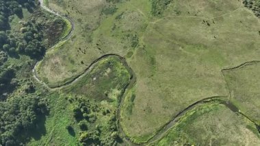 Kuşbakışı manzaralı yeşil bozkırlar..