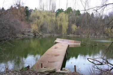 Orman gölünde terk edilmiş bir köprü.