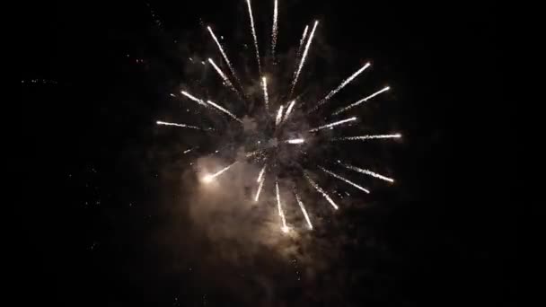 Πυροτεχνήματα στον ουρανό νύχτας — Αρχείο Βίντεο