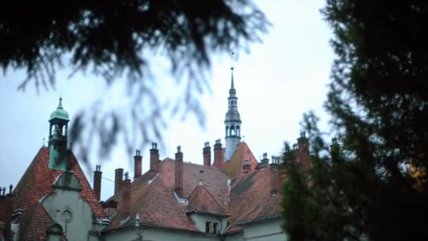 Черепица на крыше древнего замка Шерборн — стоковое видео