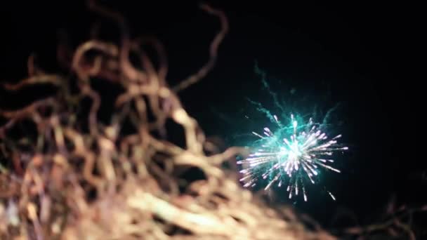 밤하늘에 불꽃놀이 — 비디오