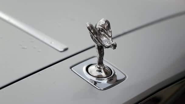 Rullar Royce främre logotypen Emblem Rack fokus skott — Stockvideo