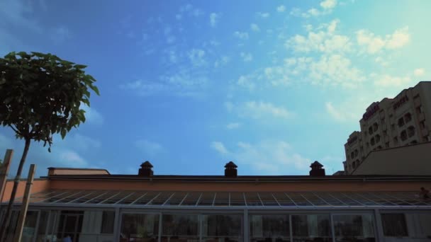 Ciel bleu avec nuages Palmier dans le cadre — Video