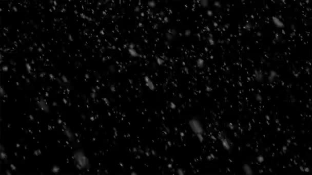 Bella nevicata isolata su sfondo nero — Video Stock