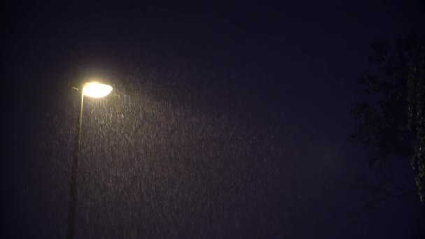 Illuminated Public Lamp in Dark Night Heavy Rain — Stock Video