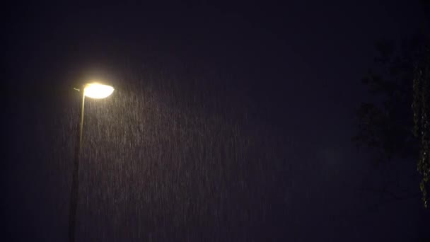 Lámpara pública iluminada en la noche oscura Lluvia intensa — Vídeos de Stock