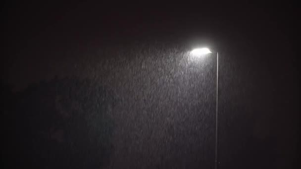 Lámpara pública iluminada en la noche oscura Lluvia intensa — Vídeo de stock