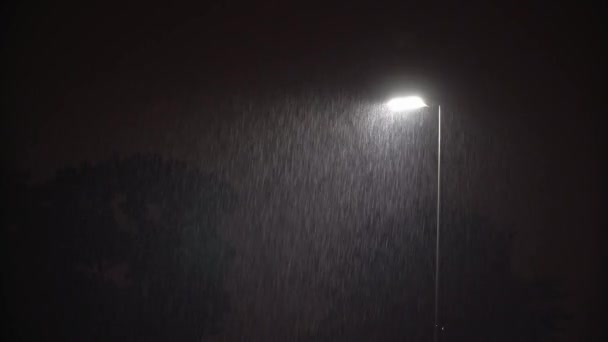 Lámpara pública iluminada en la noche oscura Lluvia intensa — Vídeos de Stock