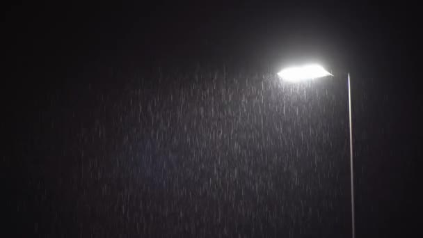 Illuminated Public Lamp in Dark Night Heavy Rain — Stock Video