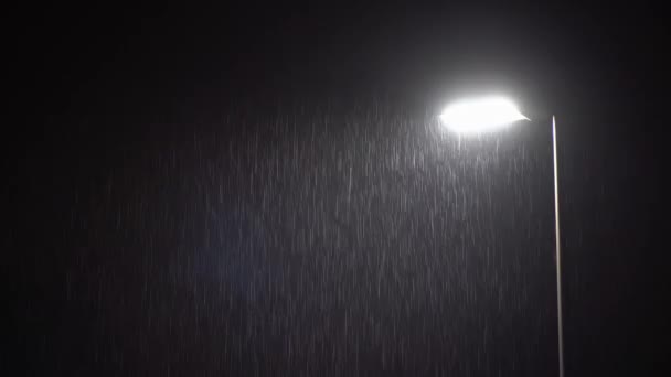 在漆黑的夜晚大雨中照明公共路灯 — 图库视频影像