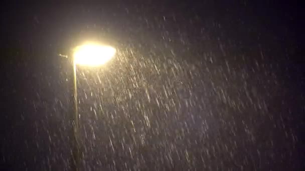 Lámpara pública iluminada en la noche oscura Lluvia intensa — Vídeo de stock