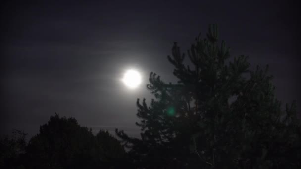 Полная луна с ночными облаками и большим злым деревом — стоковое видео