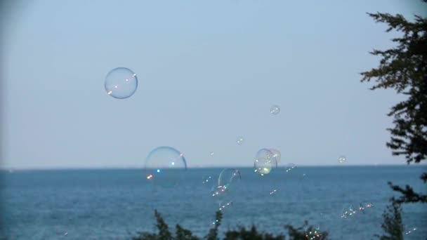 Burbujas de jabón flotando alrededor del paisaje marino — Vídeos de Stock