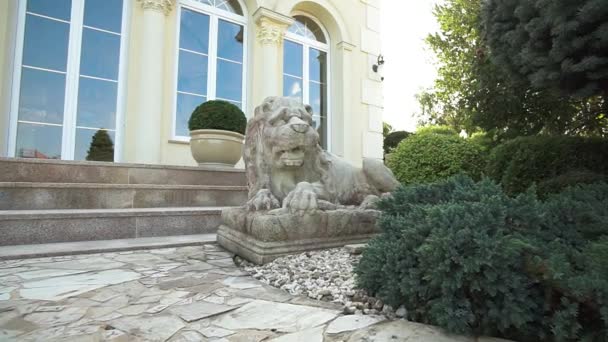 Filmische Lion Sculpture schuifregelaar Shot — Stockvideo