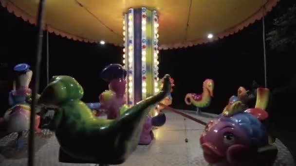 Children Carousel in the Park — Stock Video