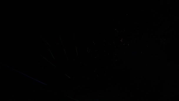 Feux d'artifice dans le ciel nocturne près de la mer 