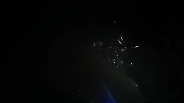 Vuurwerk in de nachtelijke hemel in de buurt van de zee — Stockvideo
