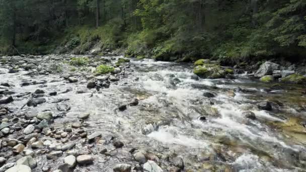Een rivier stroomt Over rotsen — Stockvideo