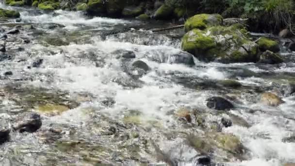 Un río fluye sobre rocas — Vídeos de Stock