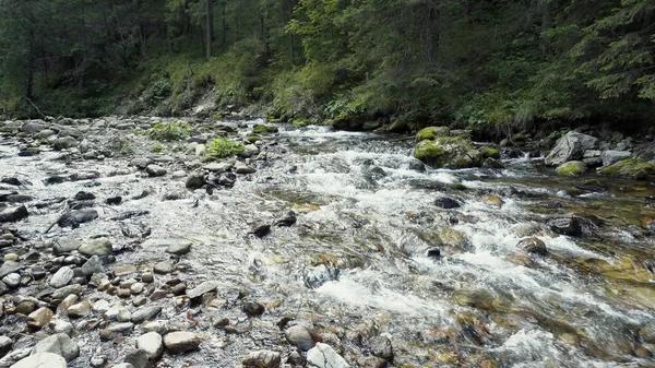 Une rivière coule sur les rochers — Photo