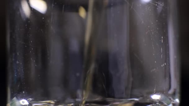 Bierblasen heben das Glas als bewegliche Lichtquelle empor — Stockvideo