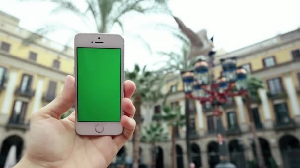 Uso de la pantalla verde del teléfono móvil contra la palmera — Vídeo de stock